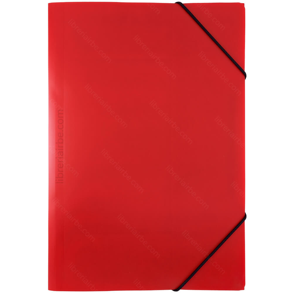 FOLDER CON LIGA (PLASTICO)