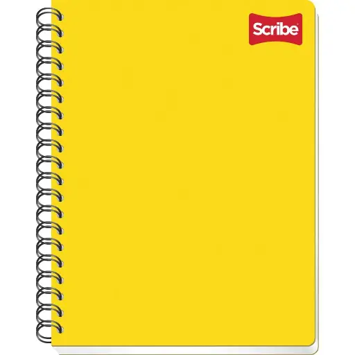 CUADERNO PROFESIONAL CUADRO CHICO 100 HOJAS  (copia)