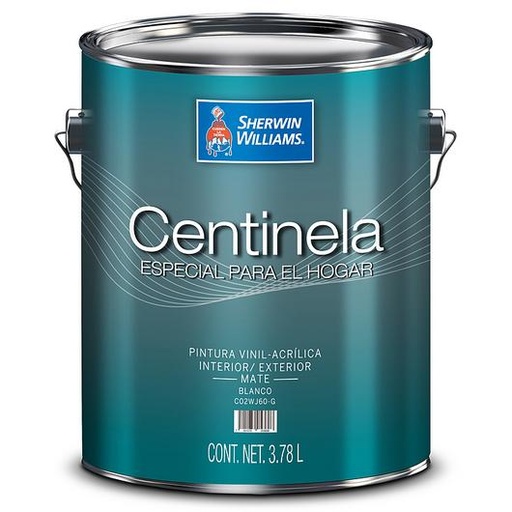 PINTURA CENTINELA