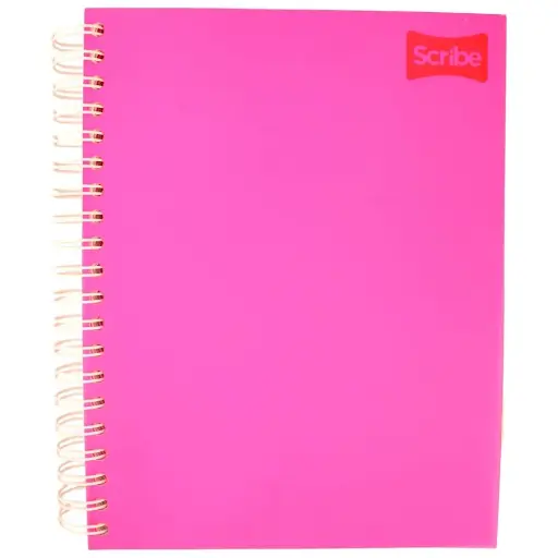 CUADERNO PROFESIONAL CUADRO GRANDE  100 HOJAS 