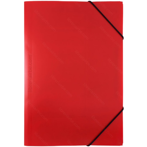 FOLDER CON LIGA (PLASTICO)